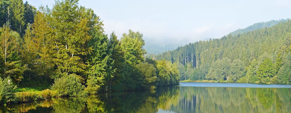 Die Nagoldtalsperre im Schwarzwald