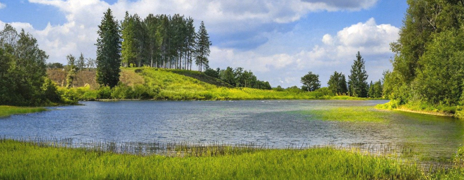 Harz Landschaft