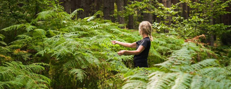 Waldbaden, Wandern und Yoga