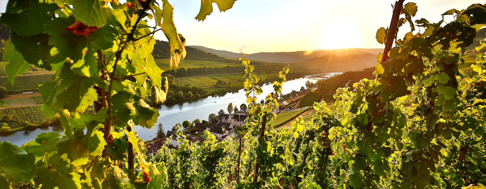 Mosel Kreuzfahrt 